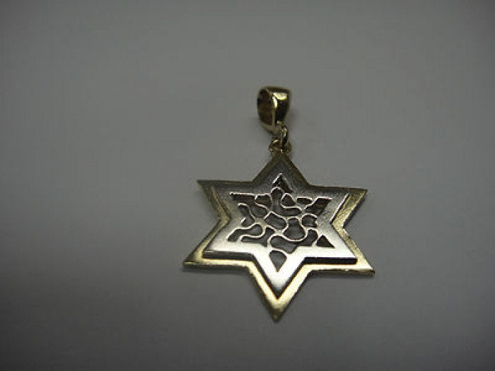 Star of David Pendant, 14K Yellow Gold Pendant, Judaica Magen David image 1