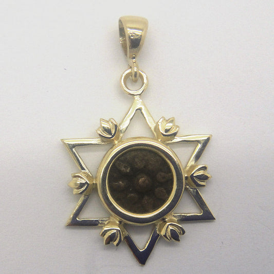 14K Yellow Gold Pendant,Authentic Bronze Widow's Mite Coin Pendant, Star Of David, Judaica, Unique Jewelry image 0
